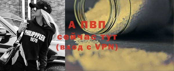 винт Абаза