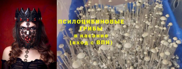 гидра Абдулино