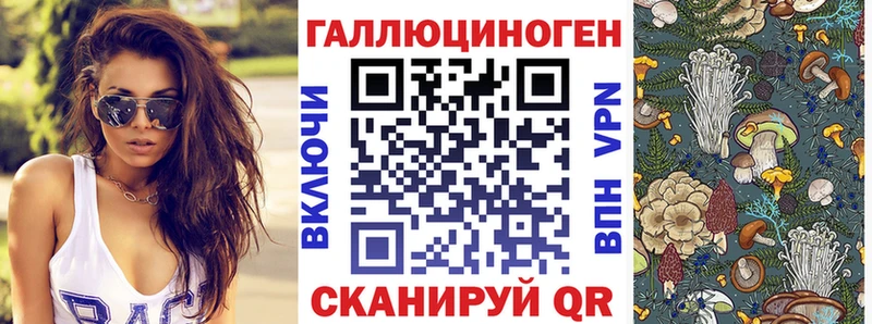 Псилоцибиновые грибы мухоморы  OMG как войти  Бийск 